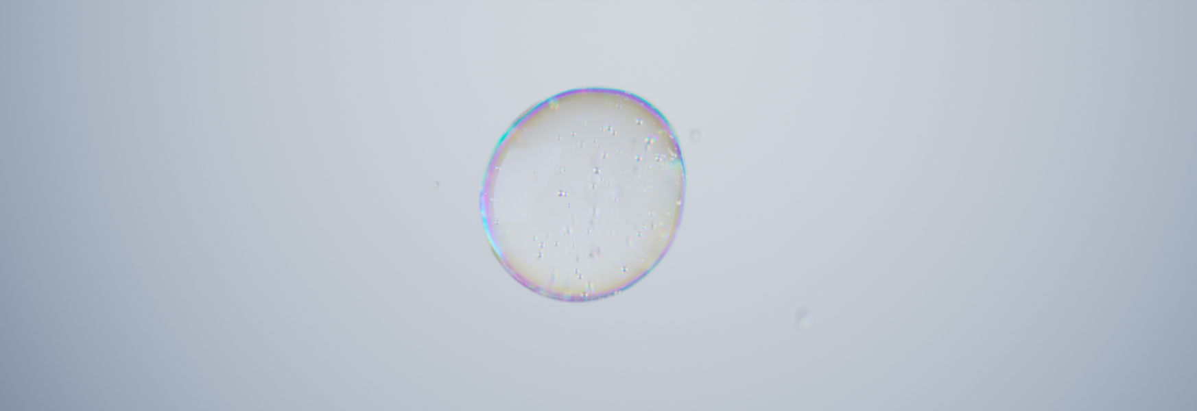 Frame · Lab still 02